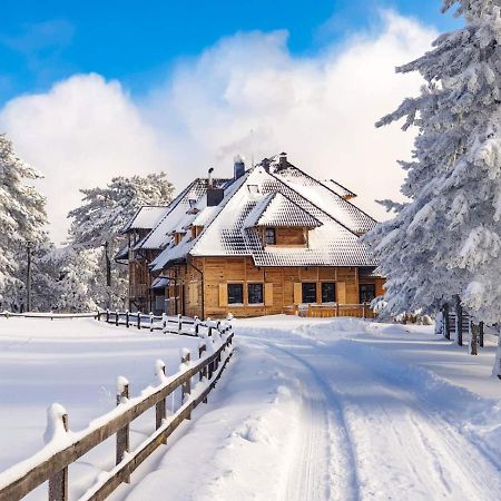 Hotel Tara Калуджерске Баре Экстерьер фото